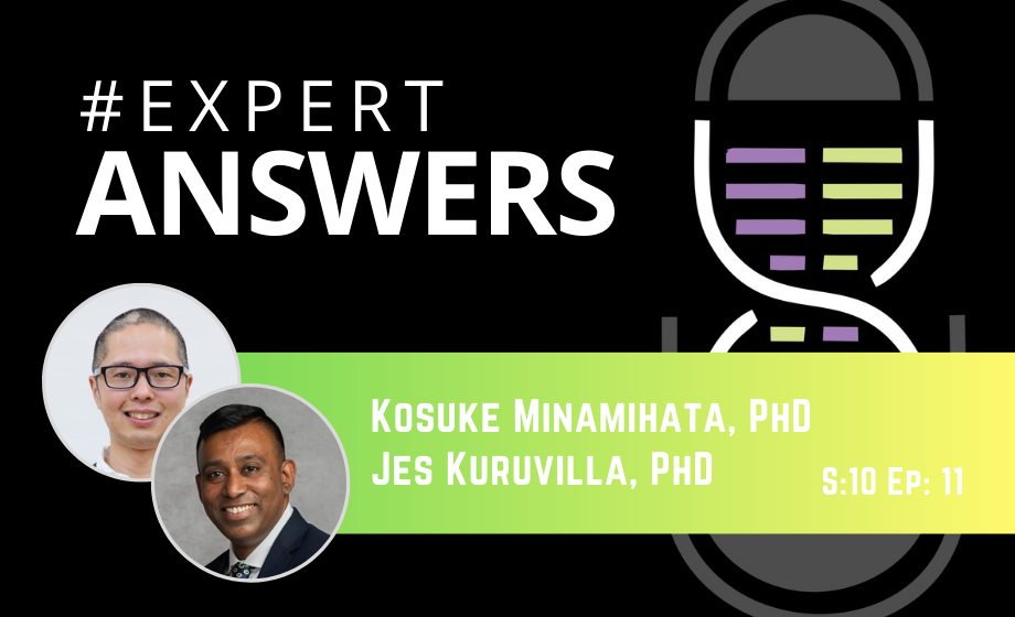 #ExpertAnswers: Kosuke Minamihata and Jes Kuruvilla on Synthetic Peptides for Regenerative Medicine