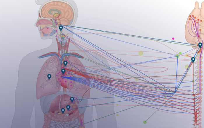 SPARC Data and Resource Center Aims to Accelerate Research with Open Science