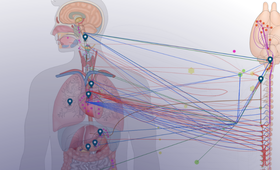 SPARC Data and Resource Center Aims to Accelerate Research with Open Science
