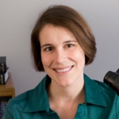 Sue Tappan
