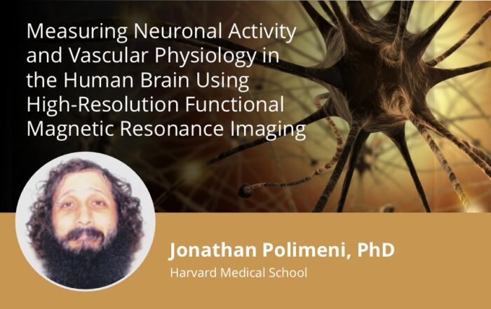 Measuring Neuronal Activity and Vascular Physiology in the Human Brain Using High-Resolution Functional Magnetic Resonance Imaging