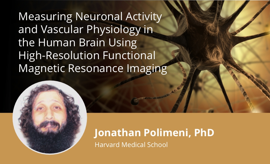 Measuring Neuronal Activity and Vascular Physiology in the Human Brain