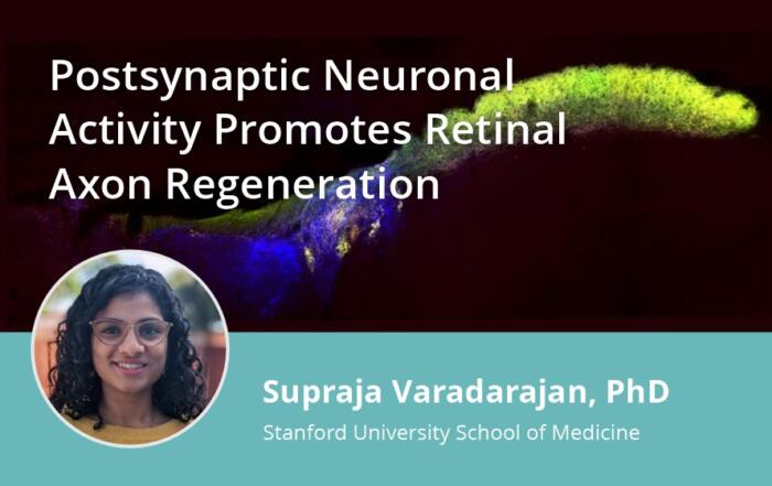 Postsynaptic Neuronal Activity Promotes Retinal Axon Regeneration