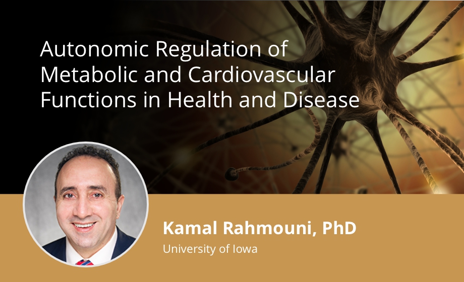 Autonomic Regulation of Metabolic and Cardiovascular Functions in Health and Disease