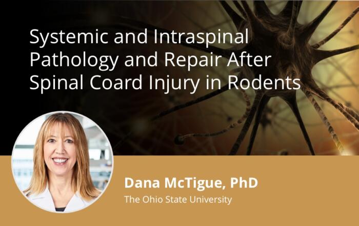 Systemic and Intraspinal Pathology and Repair After Spinal Cord Injury in Rodents