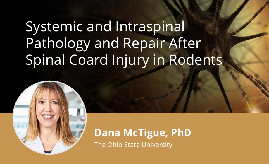 Systemic and Intraspinal Pathology and Repair After Spinal Cord Injury in Rodents