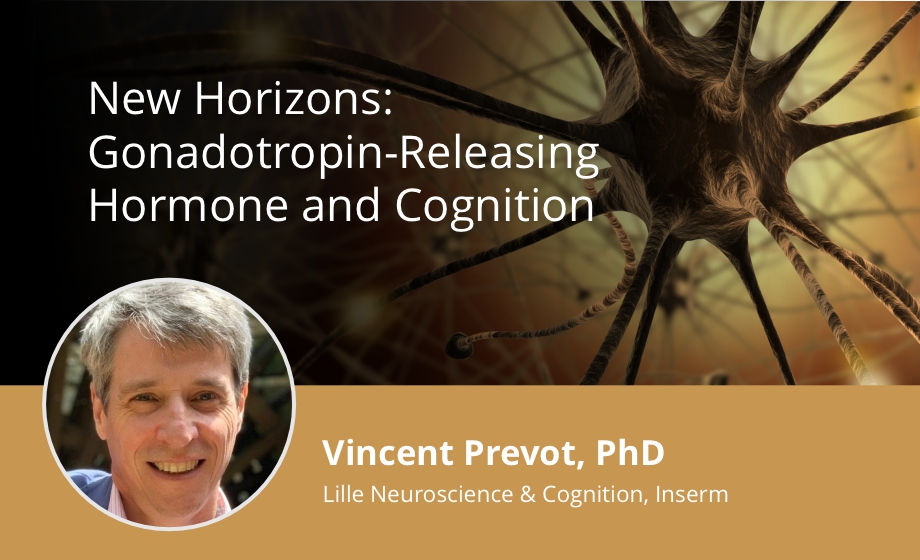 Gonadotropin-Releasing Hormone and Cognition