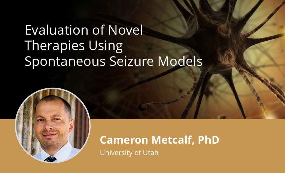 Spontaneous Seizure Models