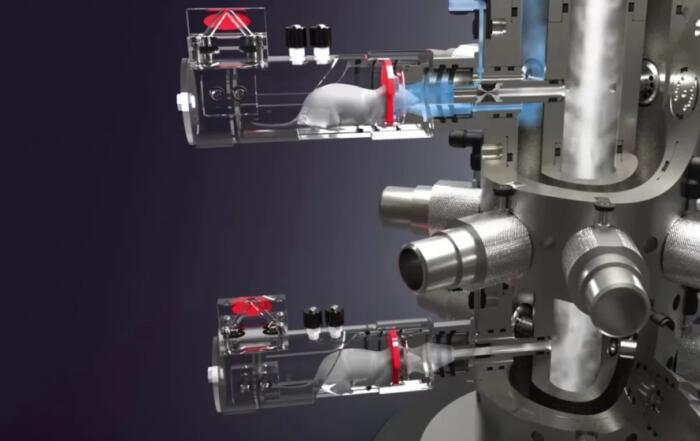 Turning Innovative Features Into Practical Benefits Within the Buxco Nose-Only Rodent Inhalation System