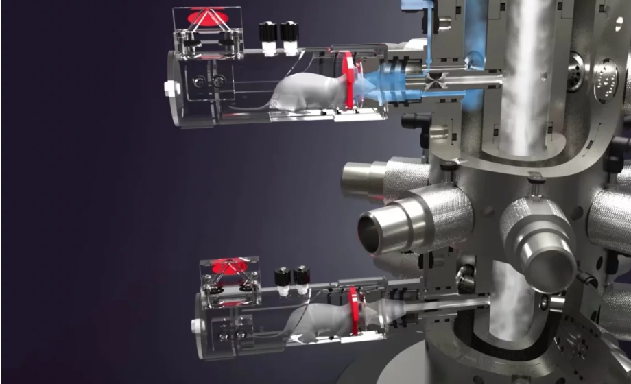 Turning Innovative Features Into Practical Benefits Within the Buxco Nose-Only Rodent Inhalation System