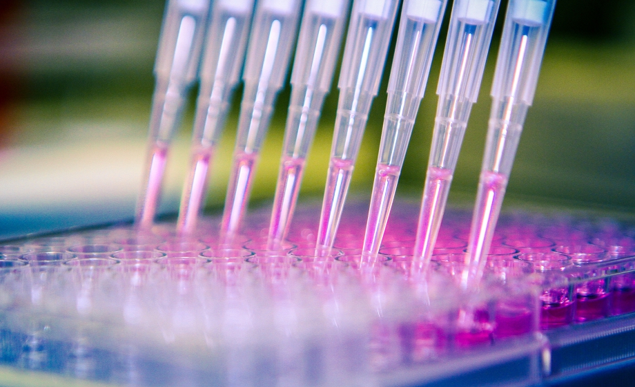 Indigo_Better Predict Potential Drug Interactions_F1