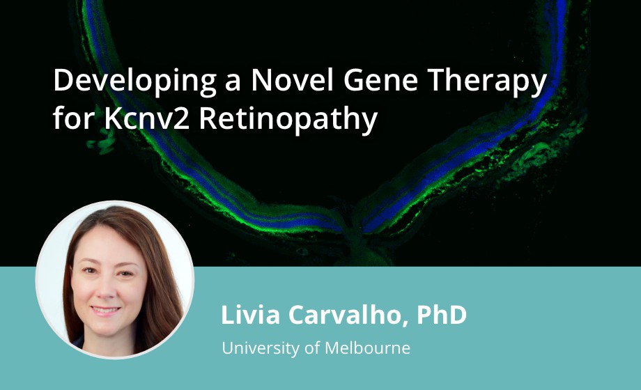 Developing a Novel Gene Therapy for Kcnv2 Retinopathy