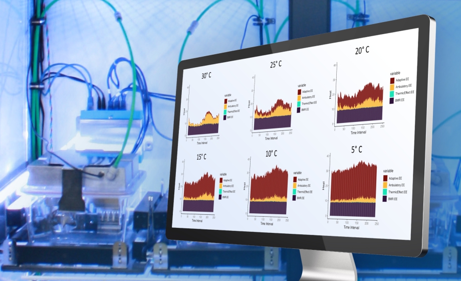 Clambake an Algorithm to Decode Energy Expenditure Data from Metabolic Cages