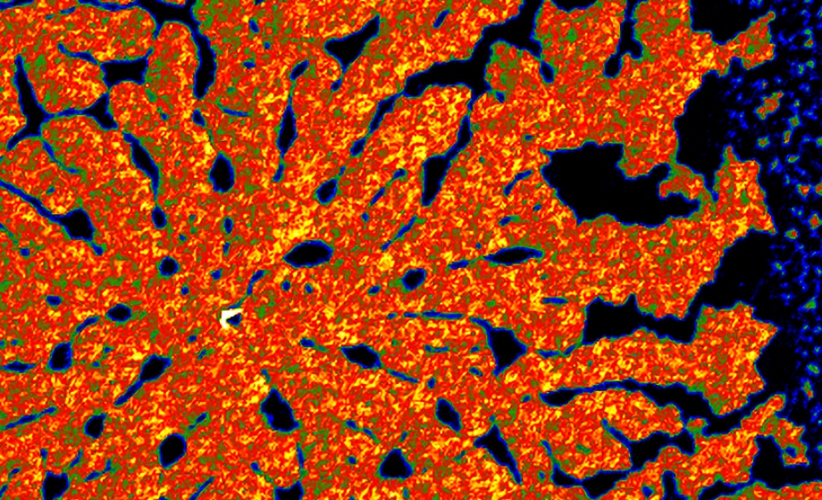 HBIO_SECC_F1