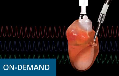Getting to the Heart of Cardiovascular Research: From Yesterday to Today and Looking Towards Tomorrow