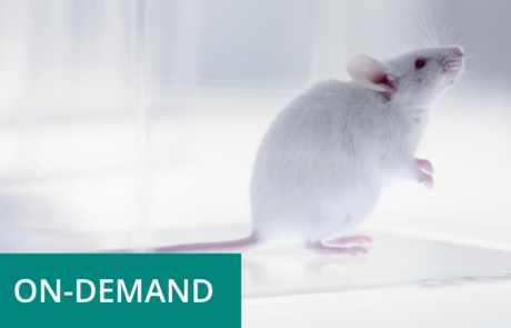 Applications of Humanized Mice in the Evaluation of Antibody-Drug Conjugates to Treat Autoimmune Diseases