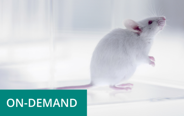 Applications of Humanized Mice in the Evaluation of Antibody-Drug Conjugates to Treat Autoimmune Diseases