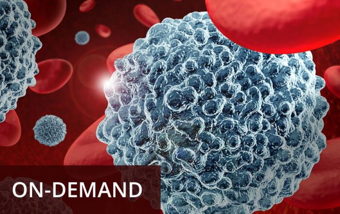 Discover the Freshness of Frozen PBMCs – An Assessment of Cryopreservation Impact on T Cell Activation and Phenotype