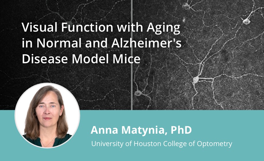 Visual Function with Aging in Normal and Alzheimer's Disease Model Mice