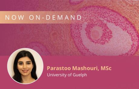 Effects of Ovarian Failure on Muscle Form and Function