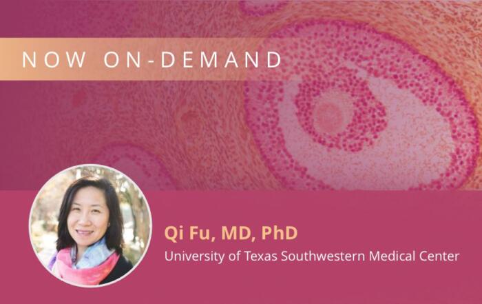 Sympathetic Regulation in Human Pregnancy