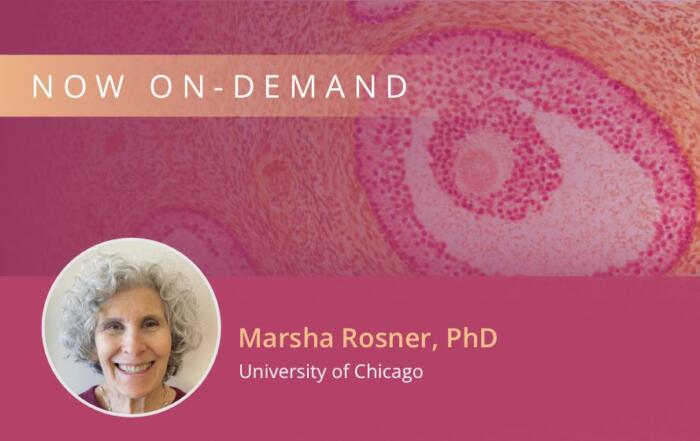 Challenges and Opportunities for Treatment of Metastatic Breast Cancer