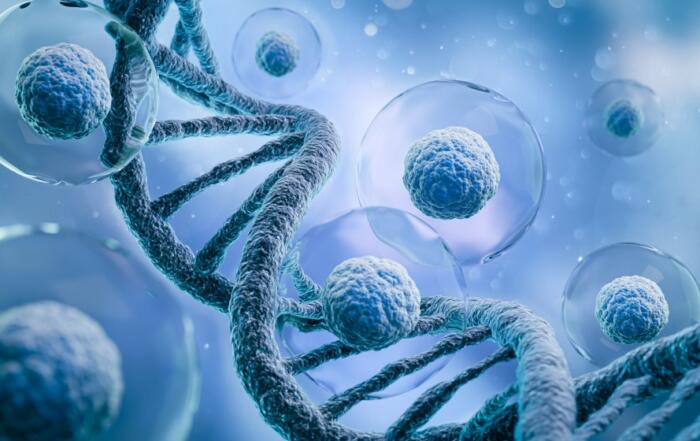 From Bench to Clinic: Decoding the IND Roadmap for Innovative Cell and Gene Therapies