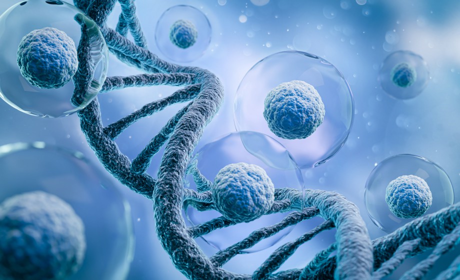 From Bench to Clinic: Decoding the IND Roadmap for Innovative Cell and Gene Therapies