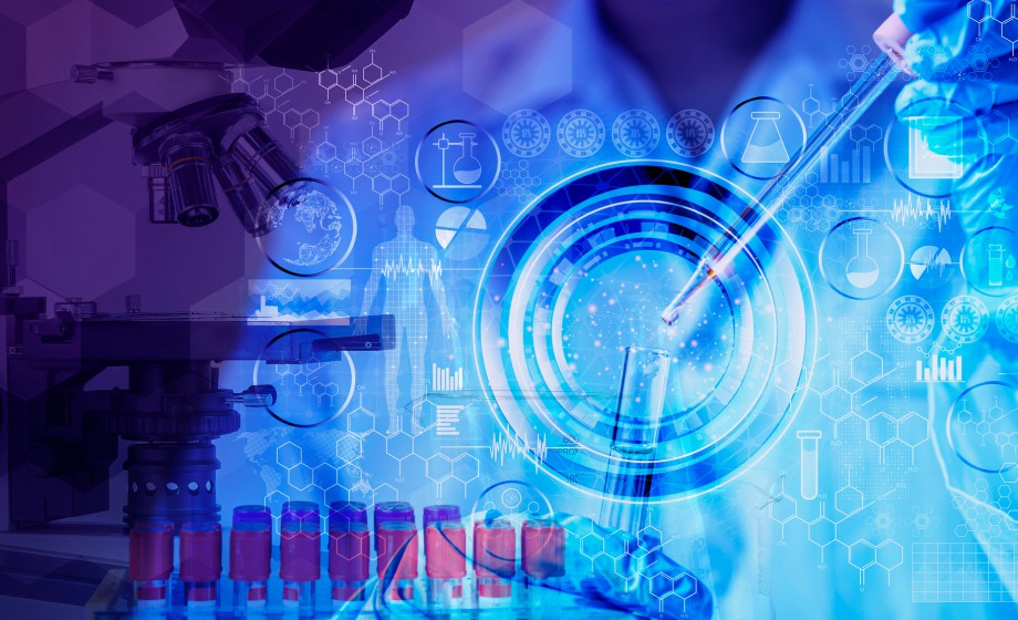 Supporting the Development of Biologics Through the IND-Enabling Studies and Clinical Phases