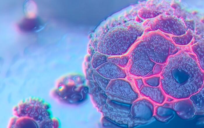 Licensing Biological Materials: Crucial Considerations for Preclinical Researchers