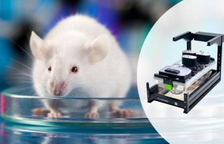 Indirect Calorimetry for Rodent Research: New Approaches to Enhance Translational Value