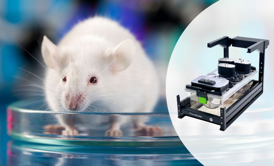 Indirect Calorimetry for Rodent Research: New Approaches to Enhance Translational Value