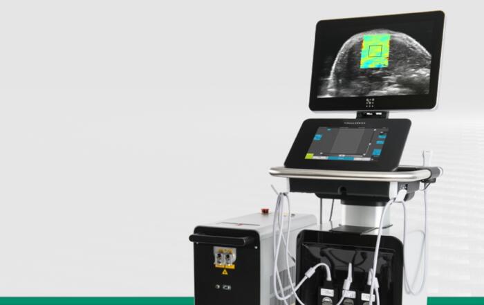 Revolutionizing Fibrosis Imaging: Unveiling Shear Wave Elastography for Small Animal Imaging