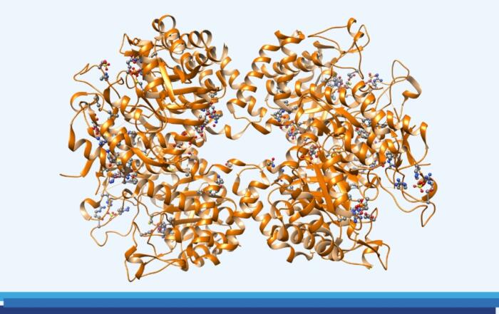Empowering Drug Hunters with High-Throughput Protein Crystallography