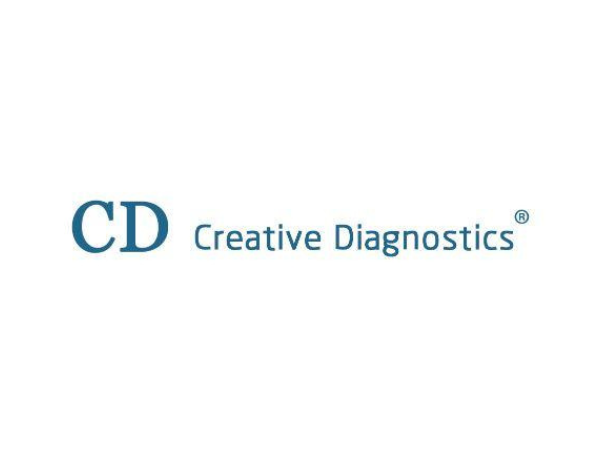 Creative Diagnostics