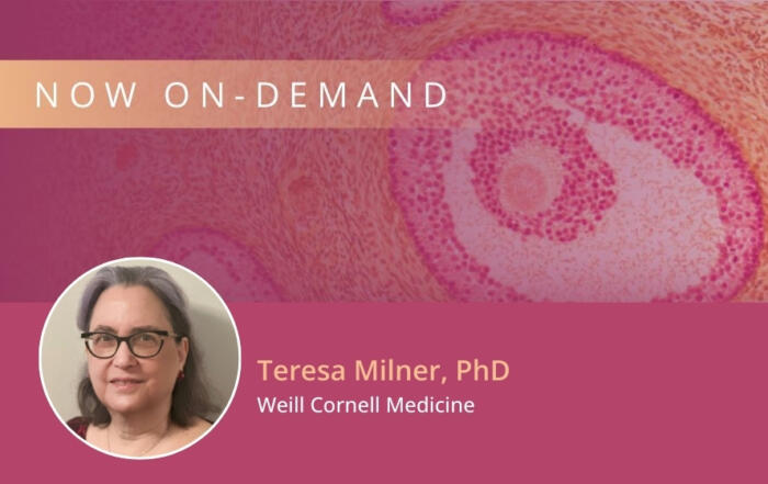 Hypertension and Hypothalamic Changes in a Mouse Model of Menopause