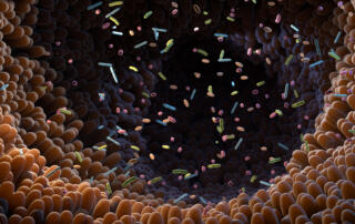 Intestinal bacteria. Microbiome