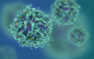 blue t-cell