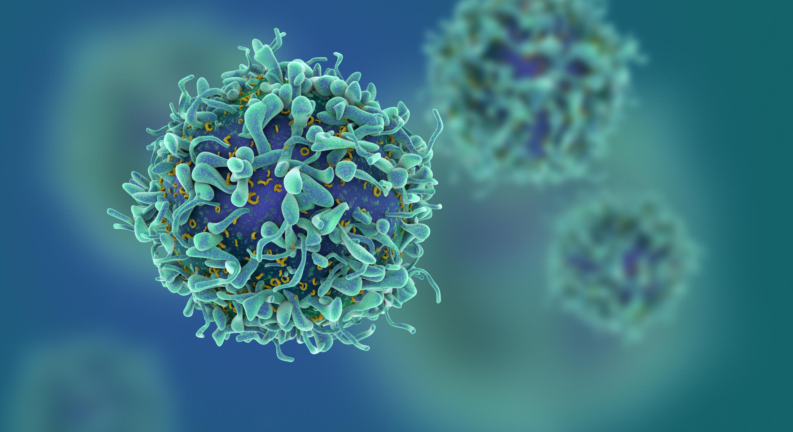 blue t-cell