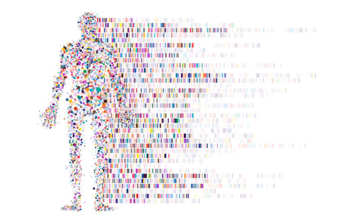 New Insights into Aging: Which Aging Theory Prevails?