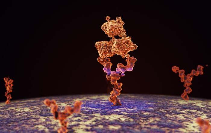 Discovery and Engineering of High-Affinity Soluble T Cell Receptors via a High-Throughput Yeast-Based Platform