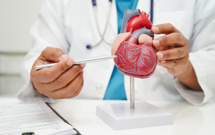 Matchmaking for Heart Cells – Mechanisms Behind Heart Cell Pairing
