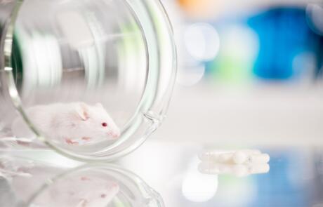 The Trainer’s Toolkit for Osmotic Pumps: Supporting Researchers in Infusion Studies