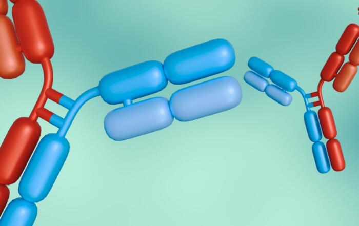 Introduction to Bispecific Antibodies and Their Production