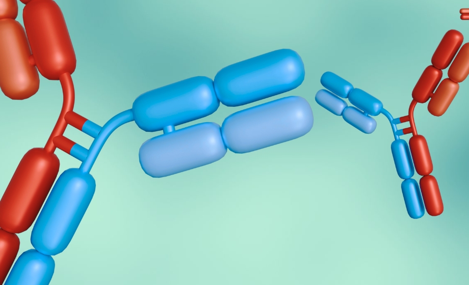 Introduction to Bispecific Antibodies and Their Production