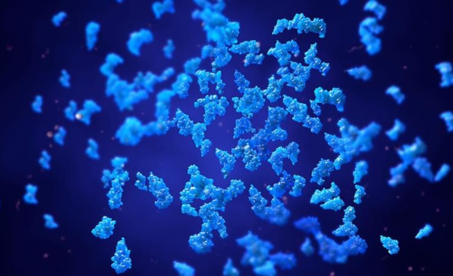 Breaking the Bottleneck: Harnessing Proteomics Services to Overcome Challenges in Clinical Research