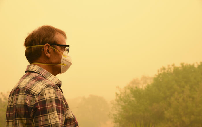 When Smoke Gets in Your Brain: Wildfires and the Lung-Brain Axis