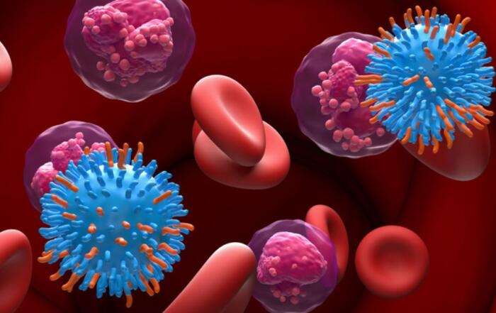 CAR Finder – A Platform for Rapid CAR T Cell Screening