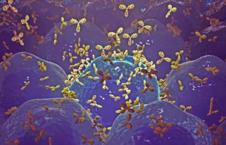 Cell-Based Assays for Immuno-oncology