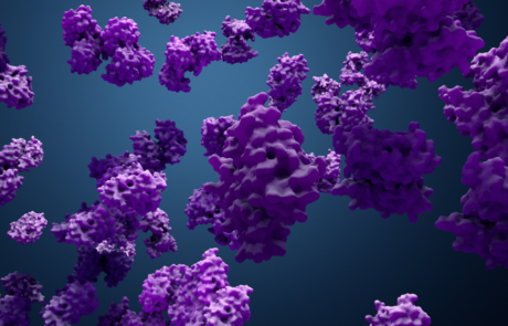 Non CYP Mediated Metabolism Pathways and In Vitro Evaluation Strategies